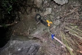 Define arayan 2 kişi suçüstü yakalandı