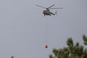 Denizli'de orman yangını (2) 3 Denizlide orman yangını 2