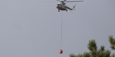 Denizlide orman yangını 2