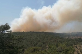 Denizli'de orman yangını 10 Denizlide orman yangını
