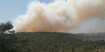 Denizlide orman yangını