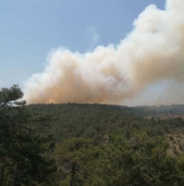 Denizli'de orman yangını 3 Denizlide orman yangını