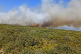 Didim'de maki yangını 1 Didimde maki yangını