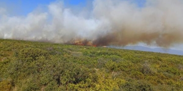 Didimde maki yangını