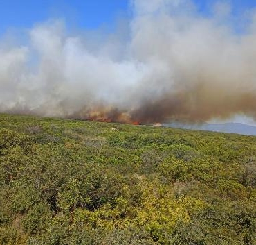 Didimde maki yangını