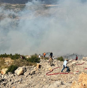 Diyarbakırda orman yangını