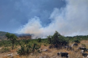Diyarbakır’da örtü yangını 40 Diyarbakırda örtü yangını