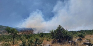 Diyarbakırda örtü yangını