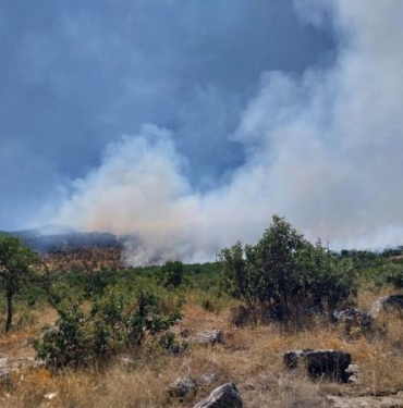 Diyarbakırda örtü yangını