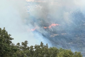 Diyarbakırdaki orman yangını 24 saatte söndürüldü