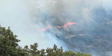 Diyarbakır'daki orman yangını 24 saatte söndürüldü 21 Diyarbakırdaki orman yangını 24 saatte söndürüldü