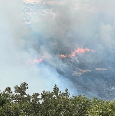 Diyarbakırdaki orman yangını 24 saatte söndürüldü
