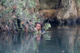 Düştüğü su kanalında ağaç dalına tutunarak hayatta kaldı