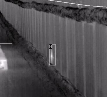 Düzensiz göçmenlerin Polonya sınırını geçme girişimleri kameralara yansıdı