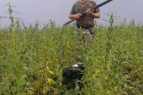 Ecza teknisyeni ormanlık alanda öldürülmüş halde bulundu