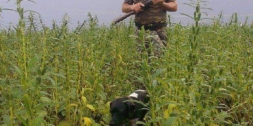 Ecza teknisyeni ormanlık alanda öldürülmüş halde bulundu 38 Ecza teknisyeni ormanlık alanda öldürülmüş halde bulundu