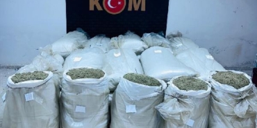 Edirnede 720 kilo damiana çayı ele geçirildi