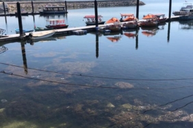 Eğirdir ve Beyşehir gölleri kritik düzeyin altına indi; 'Bir damla dahi su almayın' uyarısı 19 Eğirdir ve Beyşehir gölleri kritik düzeyin altına indi Bir damla dahi su almayın uyarısı