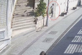 ek fotoğraflarla Zarar verdiği her kedi için ceza kesildi