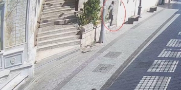 ek fotoğraflarla Zarar verdiği her kedi için ceza kesildi