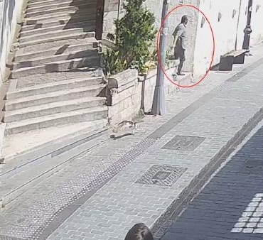 /ek fotoğraflarla// Zarar verdiği her kedi için ceza kesildi 2 ek fotoğraflarla Zarar verdiği her kedi için ceza kesildi