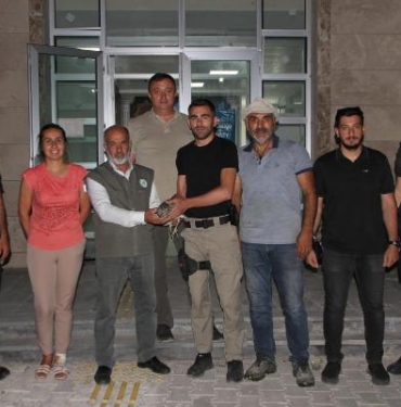 Emniyet bahçesinde yaralı bulunan balabana tedavi