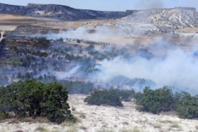 Eskişehirde 3 orman yangını erken müdahaleyle söndürüldü