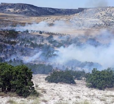 Eskişehir’de 3 orman yangını erken müdahaleyle söndürüldü 3 Eskişehirde 3 orman yangını erken müdahaleyle söndürüldü
