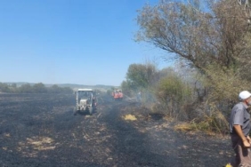 Eskişehirde anız yangını ormana sıçradı
