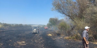Eskişehir'de anız yangını ormana sıçradı 2 Eskişehirde anız yangını ormana sıçradı