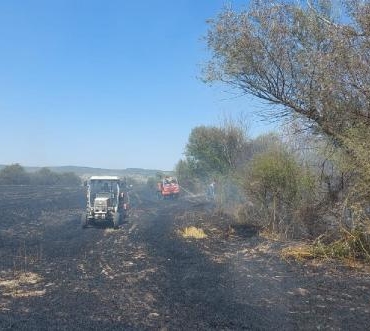 Eskişehirde anız yangını ormana sıçradı