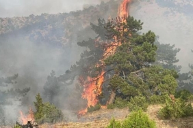 Eskişehir’de orman yangını (2) 37 Eskişehirde orman yangını 2