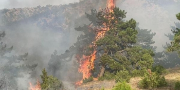 Eskişehirde orman yangını 2
