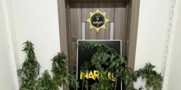 Evlerinde uyuşturucu yetiştiren karı- kocaya gözaltı