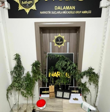 Evlerinde uyuşturucu yetiştiren karı- kocaya gözaltı