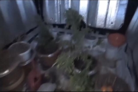 Fatihte eve uyuşturucu operasyonu 1 kişi tutuklandı