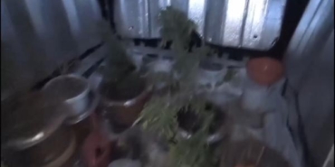 Fatih'te eve uyuşturucu operasyonu: 1 kişi tutuklandı 36 Fatihte eve uyuşturucu operasyonu 1 kişi tutuklandı