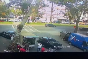 Fatihte kamyonetin üzerine ağaç devrildi O anlar kamerada