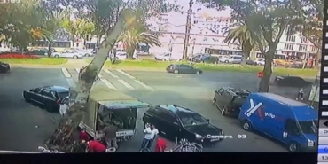 Fatih'te kamyonetin üzerine ağaç devrildi: O anlar kamerada 20 Fatihte kamyonetin üzerine ağaç devrildi O anlar kamerada