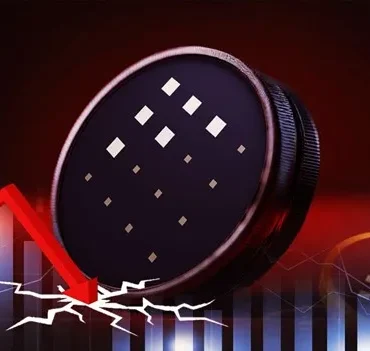 Fet Coin Yükseliyor