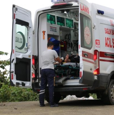 Fındık bahçesine yuvarlanan kamyonetteki 2 kişi yaralandı