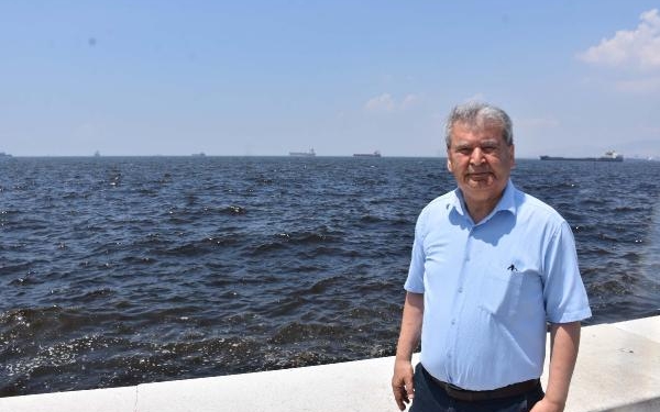 Foça sahillerinde denizanası yoğunluğu 2