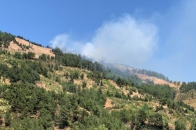 Gaziantepte 4 hektar orman yandı