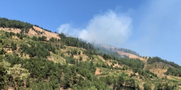 Gaziantepte 4 hektar orman yandı