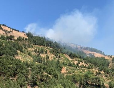 Gaziantepte 4 hektar orman yandı