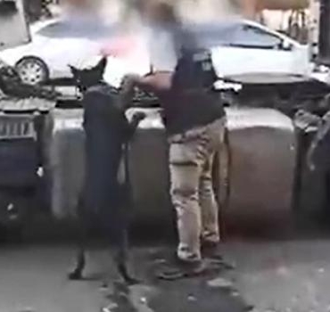 Gaziantepte TIRda 295 kilo eroin ele geçirildi