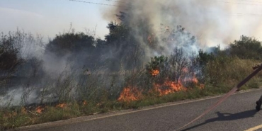 Gebze TÜBİTAK yerleşkesinde orman yangını 32 Gebze TÜBİTAK yerleşkesinde orman yangını