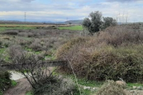 Gediz Havzasında Karasal Korunan Alan oluşturulacak