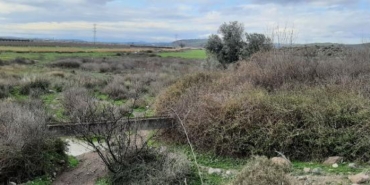 Gediz Havzasında Karasal Korunan Alan oluşturulacak