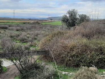 Gediz Havzasında 'Karasal Korunan Alan' oluşturulacak 9 Gediz Havzasında Karasal Korunan Alan oluşturulacak